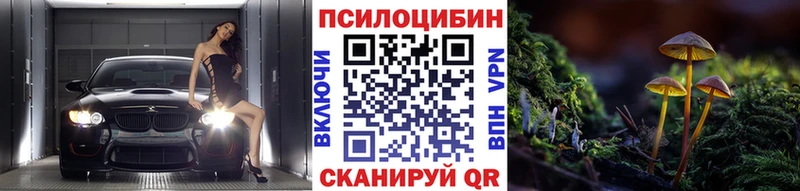 Галлюциногенные грибы Psilocybe  МЕГА ссылка  Ртищево 